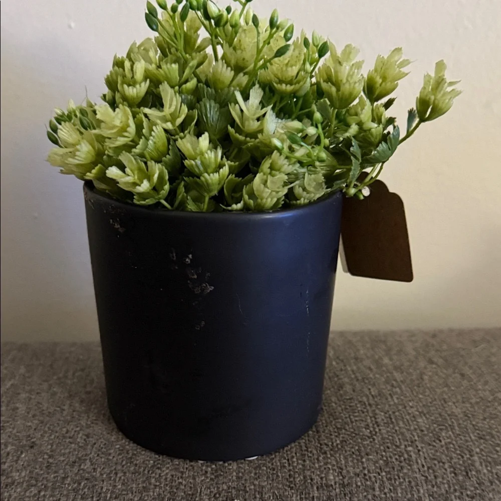 New Elegant Black ceramic Planter with Green Faux Succulents